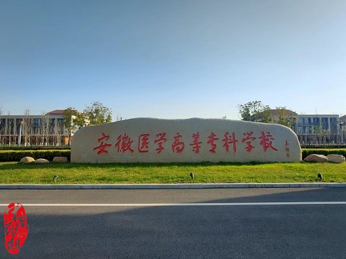 中南藥機︰安徽醫學(xué)高等專(zhuān)科學(xué)校 “1+X”藥物制劑生產(chǎn)職業(yè)技能設備安裝調試